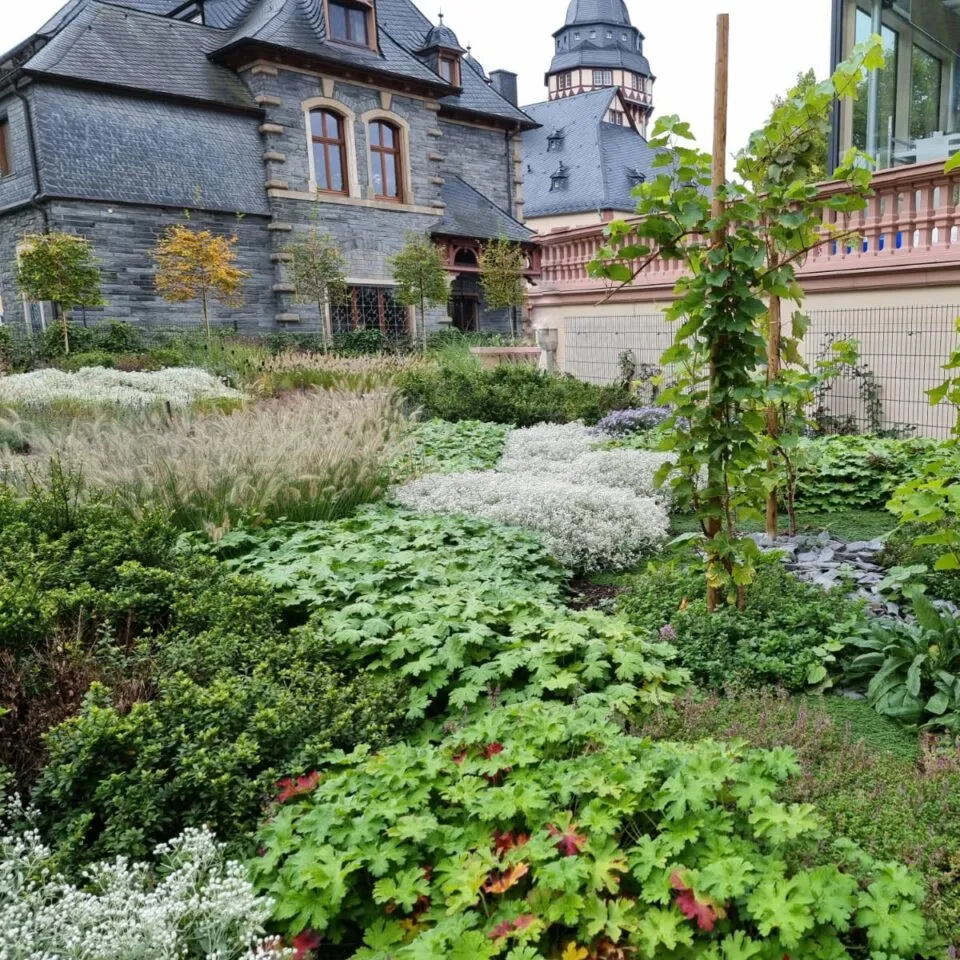Dach- und Fassadenbegrünung - Gestaltung - Gartenbau Leufgen